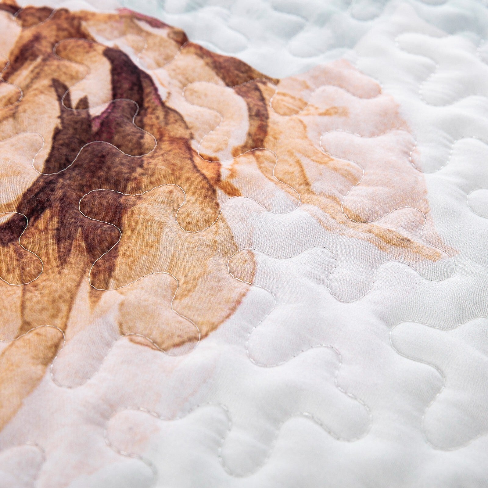 Rustic Farmhouse Chic floral Cozy 3 Pc Bedspread & Pillow Cover Set